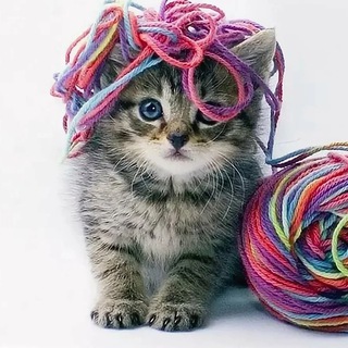 Аватар Telegram-канала Шкатулка с вязанием