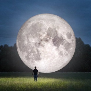 Аватар БЕСПЛАТНЫЕ ВЕБИНАРЫ ЕЛЕНЫ БОНИЛЕ