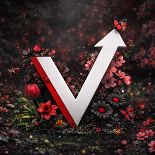 Аватар «Вектор» Курган | Автошкола 🚗