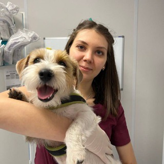 Аватар Ветеринарный врач-офтальмолог