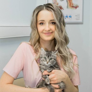 Аватар Telegram-канала Vet_alisa ветеринарный врач, эндокринолог, невролог, офтальмолог онлайн консультации