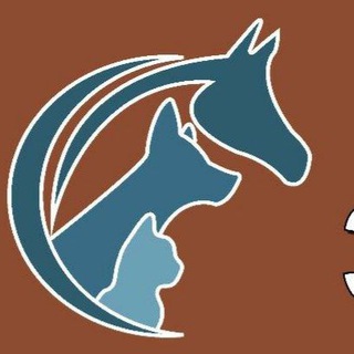 Аватар Ветаптека Зоотовары Мазанка