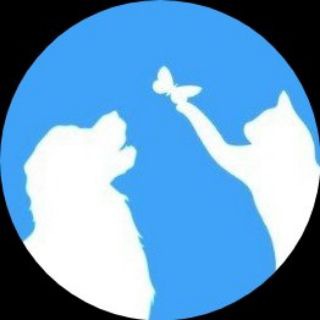 Аватар Telegram-канала ВетеринарнаяКлиника ШейлаВет