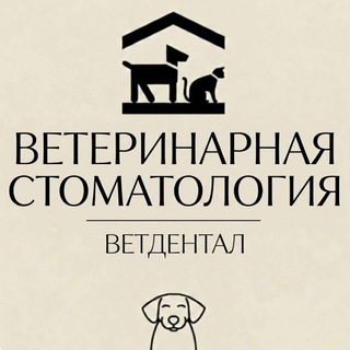 Аватар ветеринарная стоматология Ветдентал 🦷