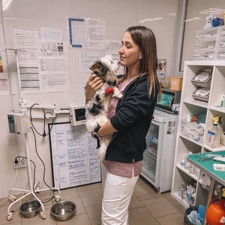 Аватар Telegram-канала Ветеринарный врач Ангелина (vetdoctor.krd)