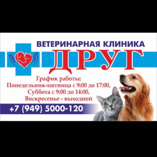Аватар 🐾ДРУГ🐾Ветеринарная клиника