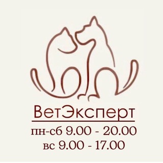 Аватар ВетЭксперт — ветеринарная клиника Казань