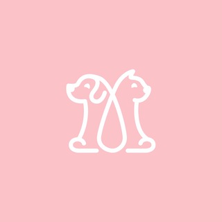 Аватар Ветеринарная консультация Консультация Ветеринара