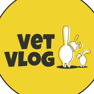 Аватар VetVlog Ветеринарная ОНКОЛОГИЯ и не только👨🏻‍⚕️
