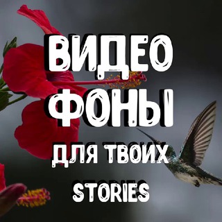 Аватар Telegram-канала ВидеоФоны для твоих Stories