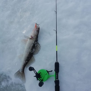 Аватар Telegram-канала Виловатово Рыбалка