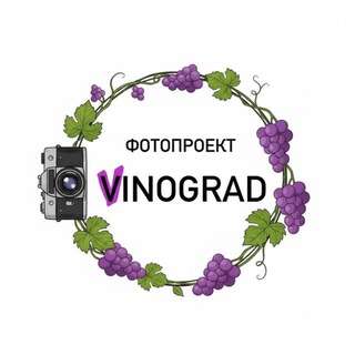 Аватар Telegram-канала ФОТОПРОЕКТЫ VINOGRAD СПБ|ПИТЕР
