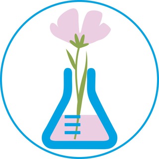 Аватар Telegram-канала Онлайн-школа Марии Дудкиной