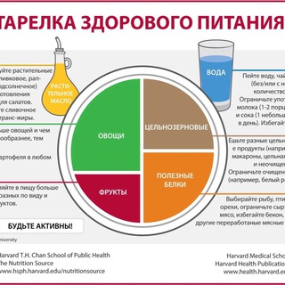 Аватар Telegram-канала ЗОЖ с Викторией Львовой