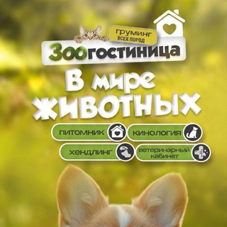 Аватар В мире животных | Кинолог | Зоогостиница | Ветеринар | Грумер | Хендлер | Питомник собак