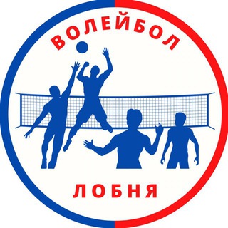 Аватар Telegram-канала Волейбол в Лобне