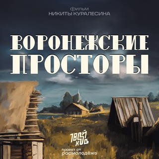 Аватар Telegram-канала «Воронежские просторы» — документальный фильм