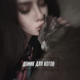 Аватар Telegram-канала архив||домик для котов 🐈