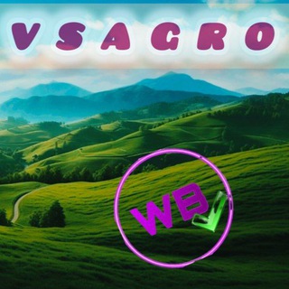 Аватар Telegram-канала VSAGRO и Wildberries/ Всё про нас и ВБ