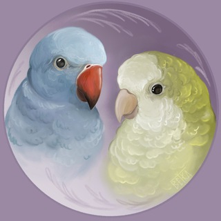 Аватар Telegram-канала Выпускай квакера🐸🦜✨