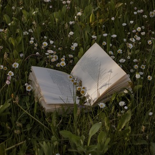 Аватар Telegram-канала Без фильтров | Психология для НЕидеальных