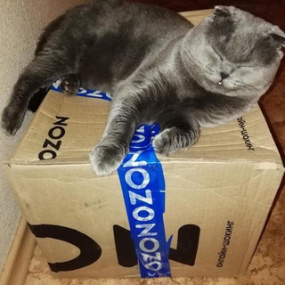 Аватар Telegram-канала Скидки | акции |промокоды