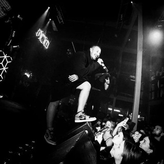 Аватар Telegram-канала WHITE GALLOWS (все песни)