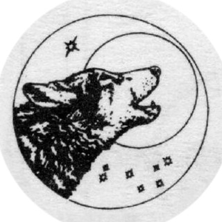 Аватар Telegram-канала Wolf Magicka — магия, ведьмовство, оккультизм