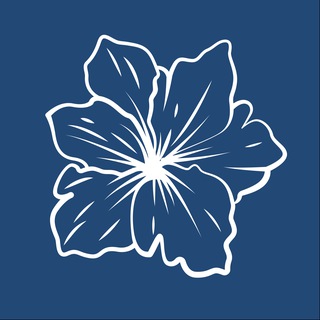 Аватар Telegram-канала Женщины в Бизнесе | Приморский край
