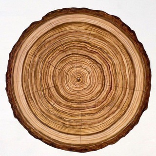 Аватар Woodfocus: дерево и архитектура