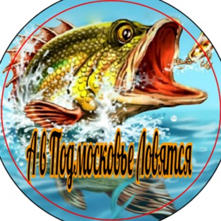 Аватар Telegram-канала А в Подмосковье Ловятся