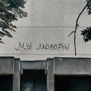 Аватар Telegram-канала Московские Грубияны 🦬😈