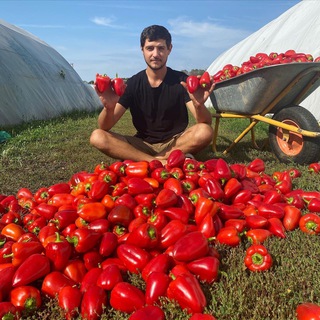 Аватар Telegram-канала Яков Огородник