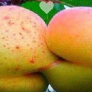 Аватар Telegram-канала ЖС. Образование