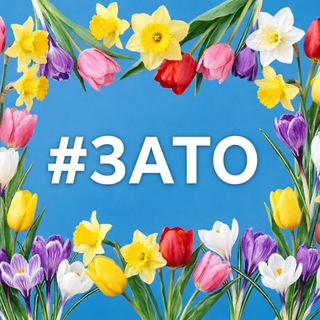 Аватар Telegram-канала Затоновости Саров