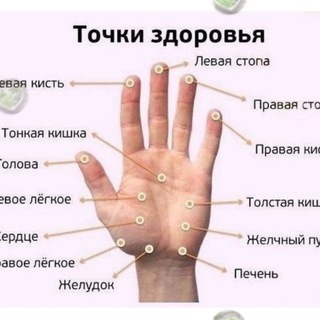 Аватар Telegram-канала Здоровье_народные средства_ЗОЖ_🎎