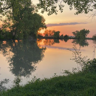 Аватар Telegram-канала Рыбалка «Зеленый берег»