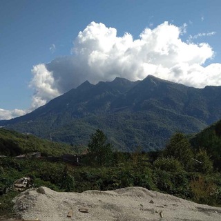 Аватар Земля в Сочи от собственников