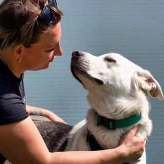 Аватар Telegram-канала ZOOHELP_DOGS🐶