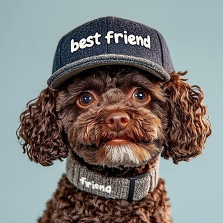 Аватар Telegram-канала ЗооАптека🐶