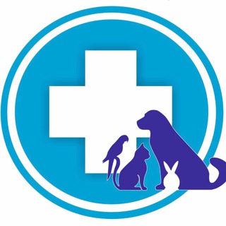 Аватар ZooMarkt ветклиника Катуар зоомагазин