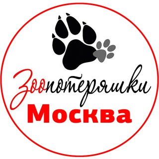 Аватар Telegram-канала Зоо потеряшки Москва и МО