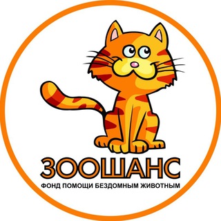 Аватар Telegram-канала Приют для кошек «ЗООШАНС» г. Ярославль