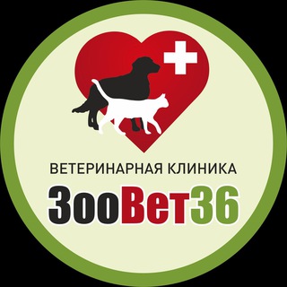 Аватар Telegram-канала Ветеринарная клиника ЗооВет36